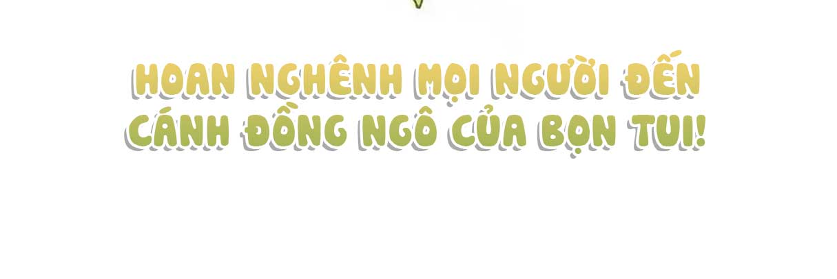 toi-khong-den-canh-dong-ngo-voi-anh-dau-chap-45-20