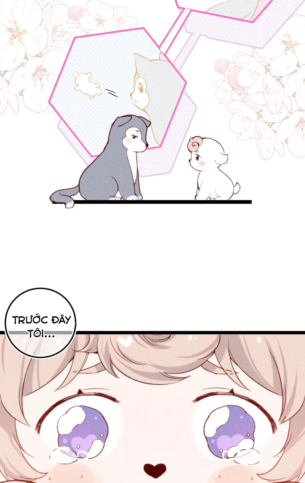 cau-that-vung-ve-chap-8-15