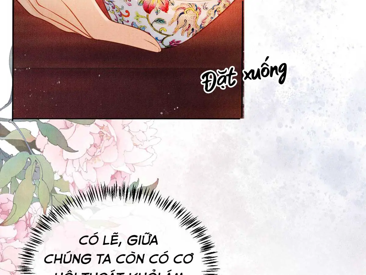 quan-sung-nan-vi-chap-36-15