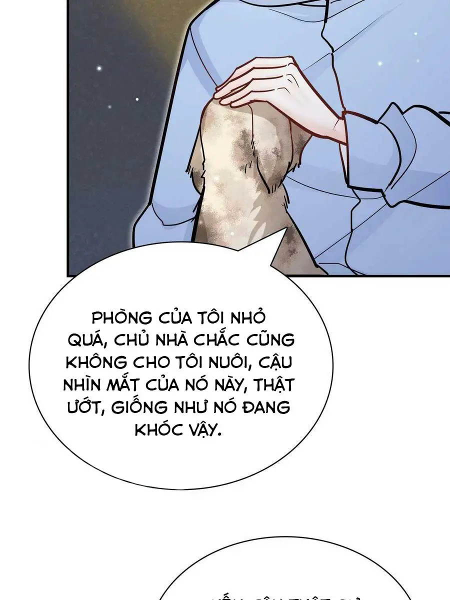 anh-ay-sinh-ra-la-danh-cho-toi-chap-76-15